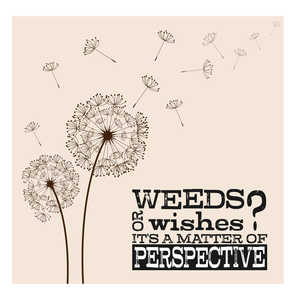 Memory Box Weeds Or Wishes