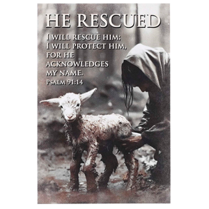 Itty Bitty Card Assortment Good Shepherd