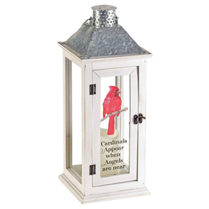 Cardinals Appear Lantern 17"