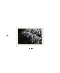Delicate Beauty White Framed Print Wall Art