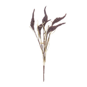Seeded Harvest Bush