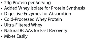 Absolute Whey - Chocolate