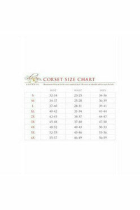 Lavish Clear Curvy Underbust Waist Cincher Corset