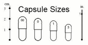 Seal Em & Heal Em Capsules Equine- Wound, Infection Ulcer Bite Bleeding & Hot Spot Support*
