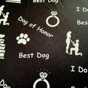 Cutie Ties Tie On Dog Bandana