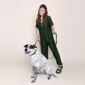 Olive Cactus Collar