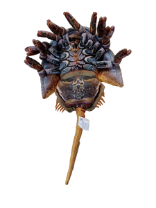 Horseshoe Crab 17.75" Plush Stuffed Animal