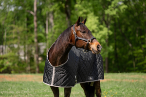 TuffRider Shelter Closed Front Medium Weight Stable Blanket-Black/Grey-84