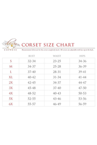 Top Drawer 4 PC Black Patent Dark Angel Corset Costume
