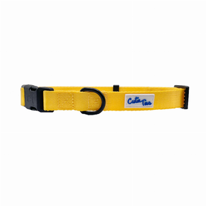 Cutie Ties Fun Design Dog Collar