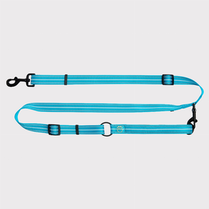 GF Pet Reflective Leash - EEZY-6