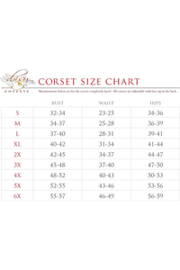 Top Drawer 4 PC Satin Angel Corset Costume