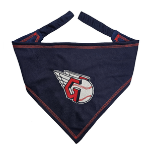 TEXAS RANGERS TIE AROUND BANDANA - 849790214187