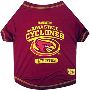 Iowa State Tee Shirt - 849790031548