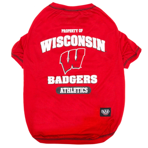 Wisconsin Tee Shirt - 849790062016