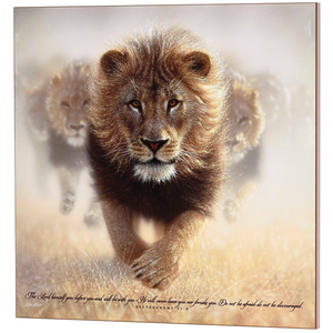 Wall Plaque Do Not Be Afraid