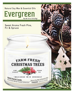 Courtside Market Fresh Farm Trees Candle Glass Jar with Glass Lid