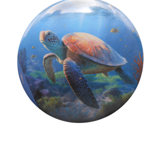Sea Turtle