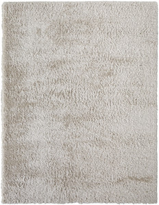 5' X 8' Ivory Shag Power Loom Stain Resistant Area Rug - 606114126799 5' X 8' Ivory Shag Power Loom Stain Resistant Area Rug - 606114126799