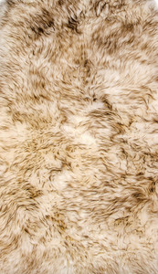 2' X 3' Cream Shag Area Rug