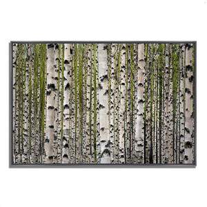 Spring Birch 1 Black Wrapped Canvas Print Wall Art - 606114233657 Spring Birch 1 Black Wrapped Canvas Print Wall Art - 606114233657