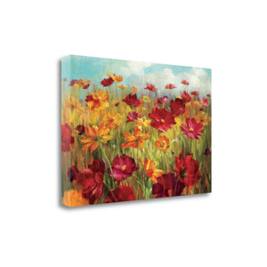 Cosmos In The Field 1 Wrapped Canvas Print Living Room Wall Art - 606114654438 Cosmos In The Field 1 Wrapped Canvas Print Living Room Wall Art - 606114654438