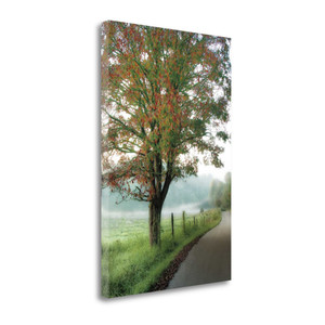 Almost Autumn 1 Wrapped Canvas Print Living Room Wall Art - 606114188896 Almost Autumn 1 Wrapped Canvas Print Living Room Wall Art - 606114188896