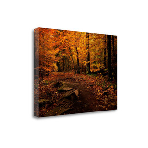 Autumn Path 1 Wrapped Canvas Print Wall Art - 606114319733 Autumn Path 1 Wrapped Canvas Print Wall Art - 606114319733