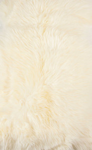 2' x 3' Ivory New Zealand Natural Sheepskin Rug - 4512822886657