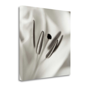 Florison 52 Wrapped Canvas Print Wall Art - 606114264026 Florison 52 Wrapped Canvas Print Wall Art - 606114264026