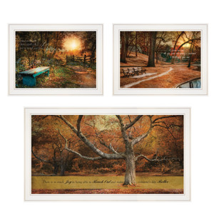 Set Of Three Tranquil Spaces 1 White Framed Print Wall Art - 606114680697