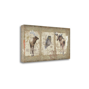 Woodlands Ii Wrapped Canvas Print Wall Art - 606114336907 Woodlands Ii Wrapped Canvas Print Wall Art - 606114336907