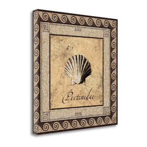 Shell Works Ii Wrapped Canvas Print Wall Art - 606114222712 Shell Works Ii Wrapped Canvas Print Wall Art - 606114222712