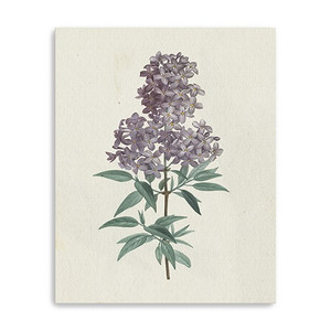 30" Singular Purple Blossom Branch Canvas Wall Art - 808230016804