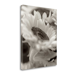 Florison 3 Wrapped Canvas Print Living Room Wall Art - 606114265740 Florison 3 Wrapped Canvas Print Living Room Wall Art - 606114265740