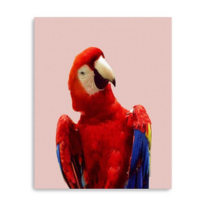 20" Vibrant and Vivid Bird Canvas Wall Art - 808230014923