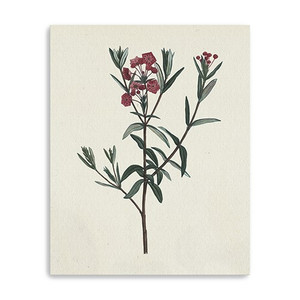 20" Singular Red Blossom Branch Canvas Wall Art - 808230016774 20" Singular Red Blossom Branch Canvas Wall Art - 808230016774