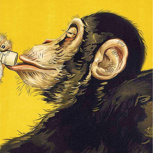 8.5" x 11" Anisetta Evangelisti Italian Liquor Wall Art Print - 4512822860619