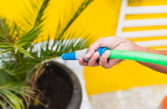 Enhancing Your Gardening Experience with Valencia-Made Hose Nozzles