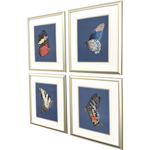 Set Of Four Color Flutters Set of Set Gold Framed Wall Art