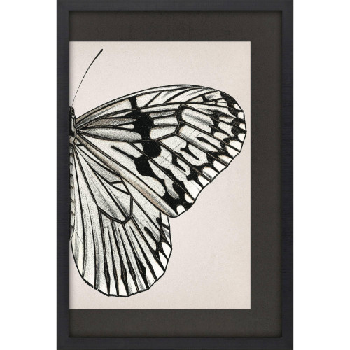 Grand Butterfly II Black Framed Wall Art
