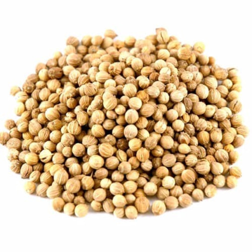 Organic Coriander Seed