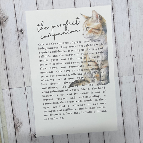 Cat Paw - The Purr-fect Companion (round) Ornament/Charm