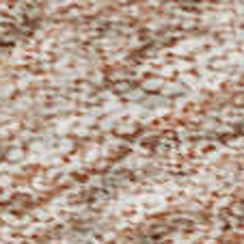 9' X 12' Salmon And Ivory Abstract Washable Area Rug With UV Protection