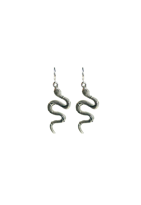 Swirling Snake Earrings - Silver