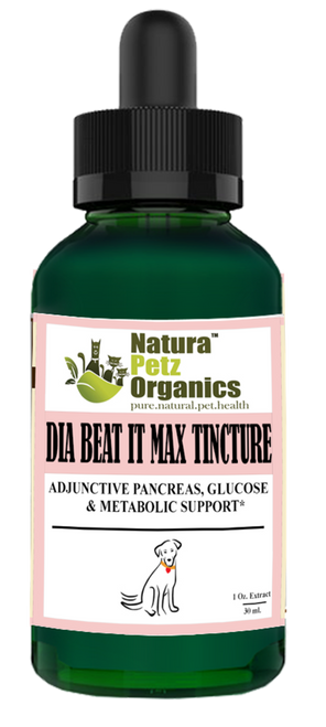  Max Tincture Extract* - Adjunctive Pancreas, Blood Glucose & Metabolic Support*