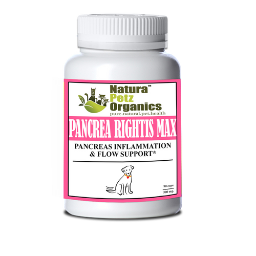 Pancrea Rightis Max Support* Capsules Pancreas Inflammation & Flow Support Dogs Cats*