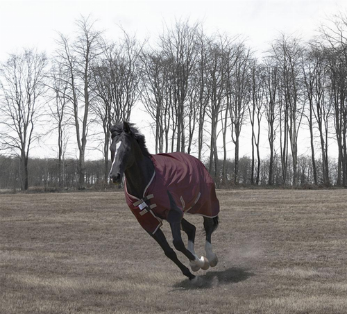 TuffRider Optimum 1680D Triple Weave Herringbone with Heavy Weight Thermo Manager To 360 GMS Detachable Neck Turnout