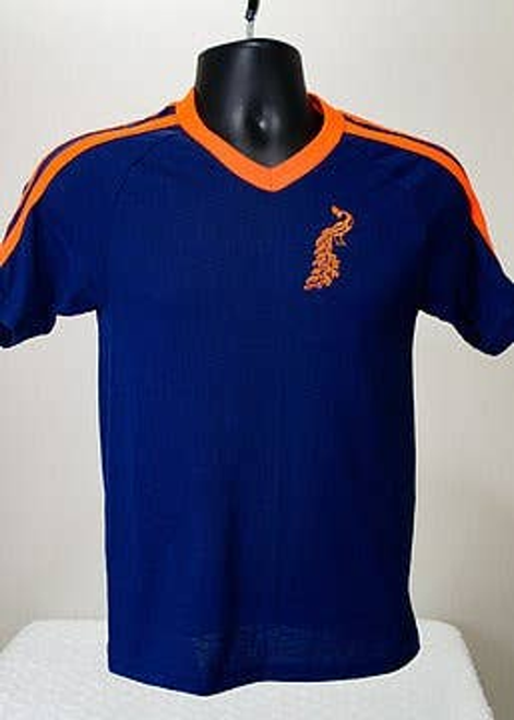 Men's VaVichi Kings Striped V-Neck
