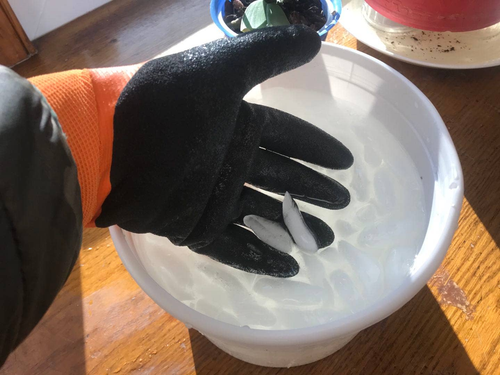 Waterproof Winter Gloves